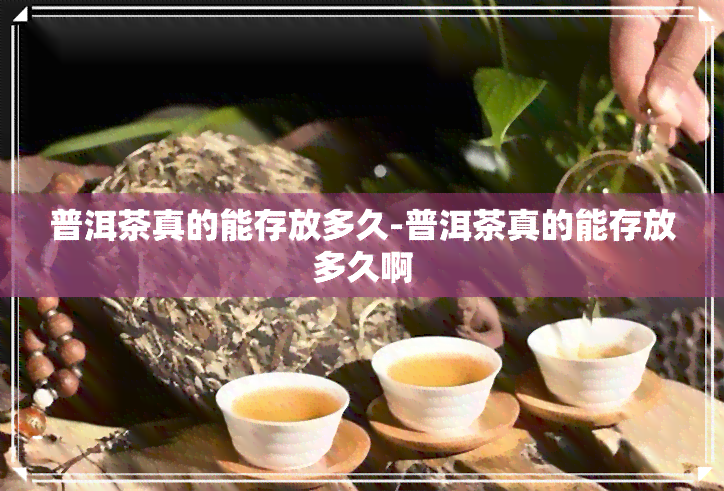 普洱茶真的能存放多久-普洱茶真的能存放多久啊