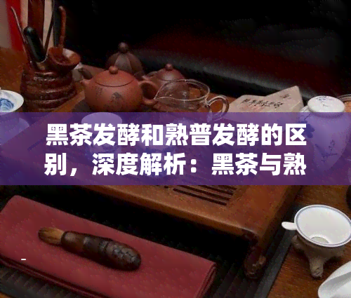 黑茶发酵和熟普发酵的区别，深度解析：黑茶与熟普发酵的差异之处