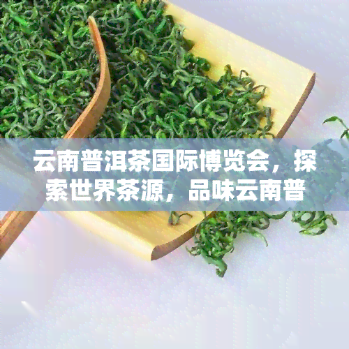 云南普洱茶国际博览会，探索世界茶源，品味云南普洱——云南普洱茶国际博览会大开幕