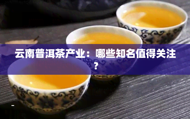 云南普洱茶产业：哪些知名值得关注？