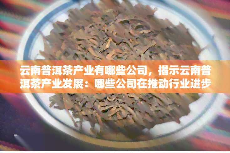 云南普洱茶产业有哪些公司，揭示云南普洱茶产业发展：哪些公司在推动行业进步？