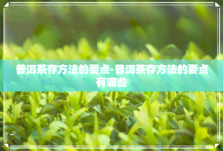 普洱茶存方法的要点-普洱茶存方法的要点有哪些