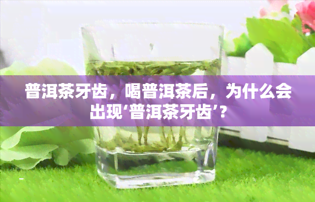 普洱茶牙齿，喝普洱茶后，为什么会出现‘普洱茶牙齿’？