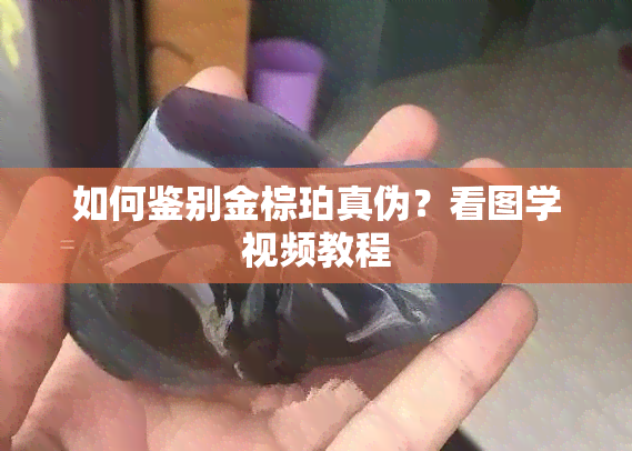 如何鉴别金棕珀真伪？看图学视频教程