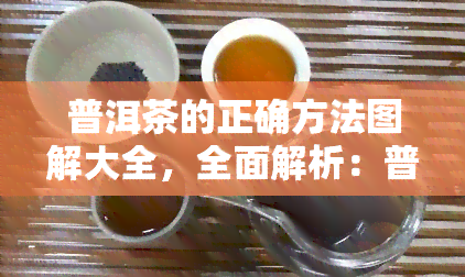 普洱茶的正确方法图解大全，全面解析：普洱茶冲泡的正确步骤图解大全