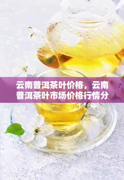 云南普洱茶叶价格，云南普洱茶叶市场价格行情分析