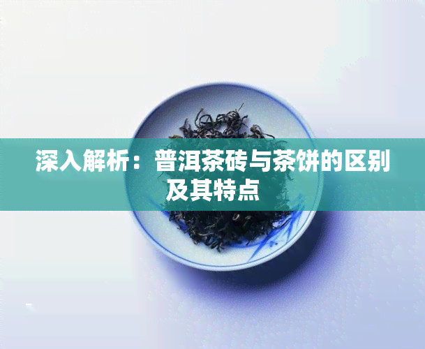 深入解析：普洱茶砖与茶饼的区别及其特点