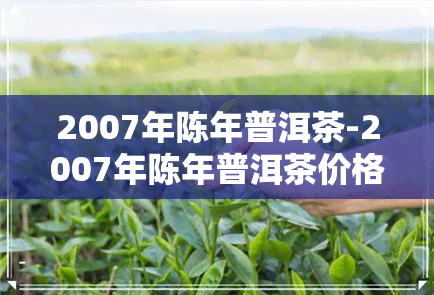 2007年陈年普洱茶-2007年陈年普洱茶价格图片