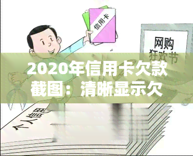 2020年信用卡欠款截图：清晰显示欠款金额与详情