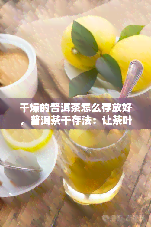 干燥的普洱茶怎么存放好，普洱茶干存法：让茶叶保持状态的秘诀