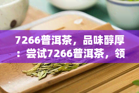 7266普洱茶，品味醇厚：尝试7266普洱茶，领略传统中国茶的魅力