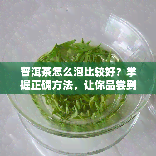 普洱茶怎么泡比较好？掌握正确方法，让你品尝到口感！