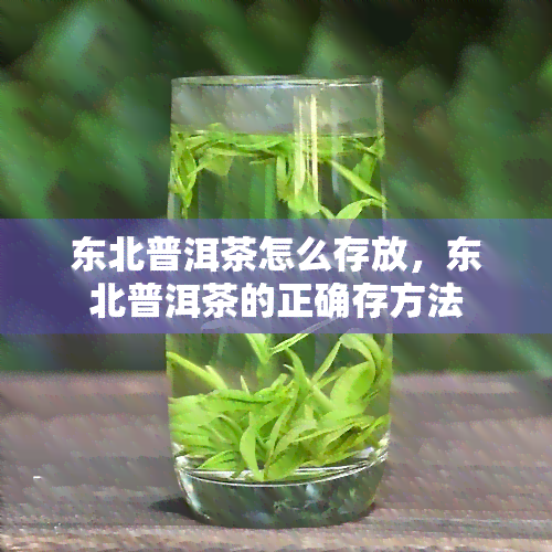 东北普洱茶怎么存放，东北普洱茶的正确存方法