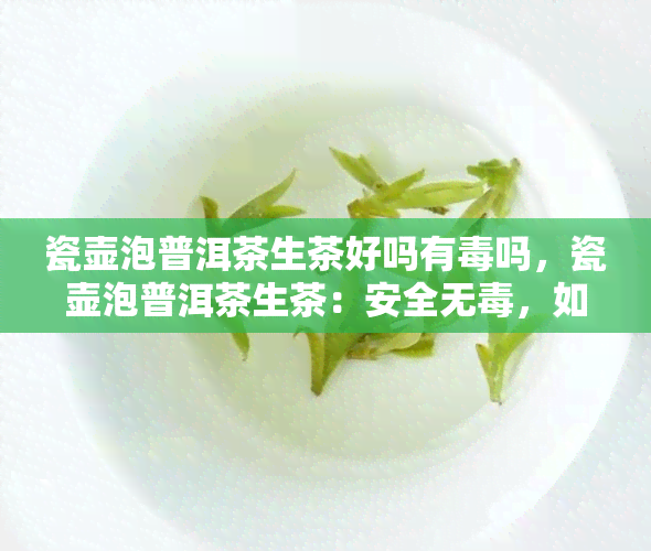 瓷壶泡普洱茶生茶好吗有吗，瓷壶泡普洱茶生茶：安全无，如何正确冲泡？