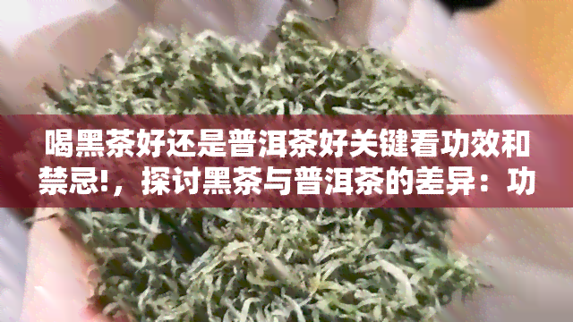 喝黑茶好还是普洱茶好关键看功效和禁忌!，探讨黑茶与普洱茶的差异：功效与禁忌，哪一种更适合你？