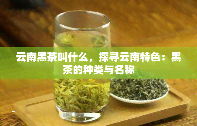 云南黑茶叫什么，探寻云南特色：黑茶的种类与名称