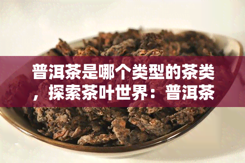 普洱茶是哪个类型的茶类，探索茶叶世界：普洱茶属于哪种类型的茶类？