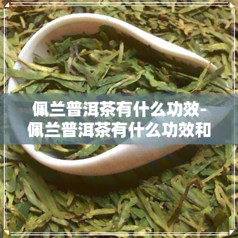 佩兰普洱茶有什么功效-佩兰普洱茶有什么功效和作用