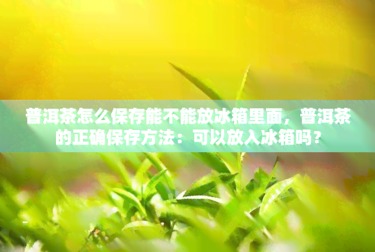 普洱茶怎么保存能不能放冰箱里面，普洱茶的正确保存方法：可以放入冰箱吗？