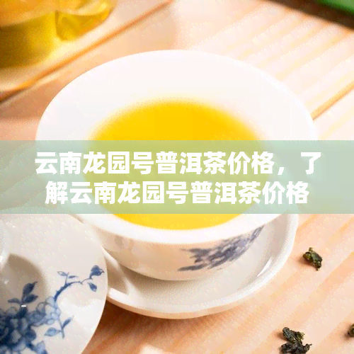 云南龙园号普洱茶价格，了解云南龙园号普洱茶价格，品味正宗的云南普洱茶