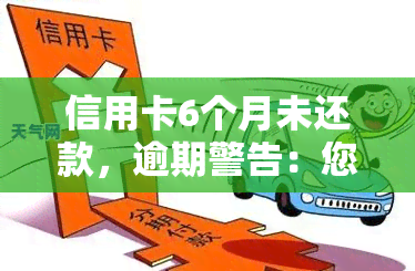 信用卡6个月未还款，逾期警告：您的信用卡已6个月未还款，请尽快处理