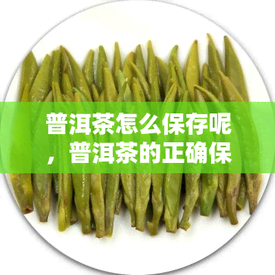 普洱茶怎么保存呢，普洱茶的正确保存方法，让你品味更好的茶叶