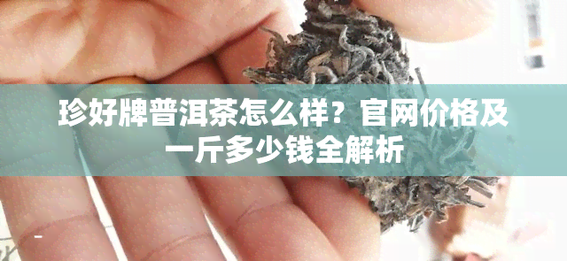 珍好牌普洱茶怎么样？官网价格及一斤多少钱全解析