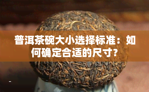 普洱茶碗大小选择标准：如何确定合适的尺寸？