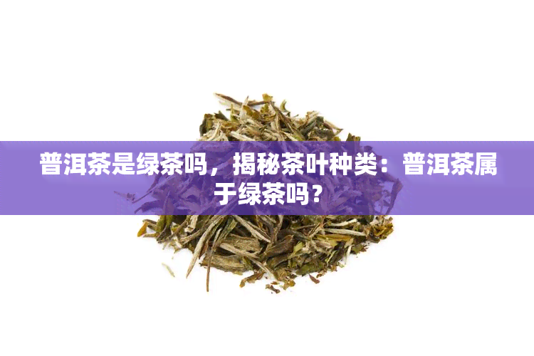 普洱茶是绿茶吗，揭秘茶叶种类：普洱茶属于绿茶吗？