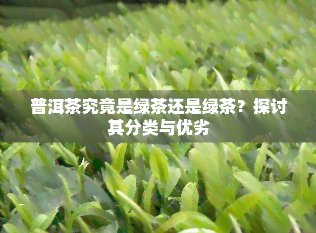 普洱茶究竟是绿茶还是绿茶？探讨其分类与优劣