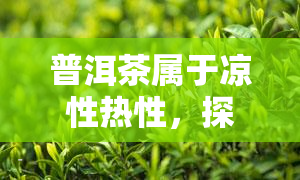 普洱茶属于凉性热性，探讨普洱茶的性质：是凉性还是热性？