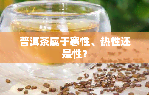 普洱茶属于寒性、热性还是性？