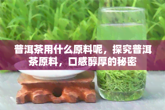 普洱茶用什么原料呢，探究普洱茶原料，口感醇厚的秘密