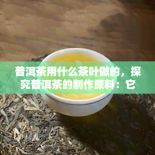 普洱茶用什么茶叶做的，探究普洱茶的制作原料：它是用什么茶叶做的？