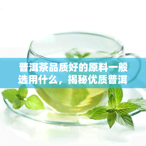 普洱茶品质好的原料一般选用什么，揭秘优质普洱茶的原料选择