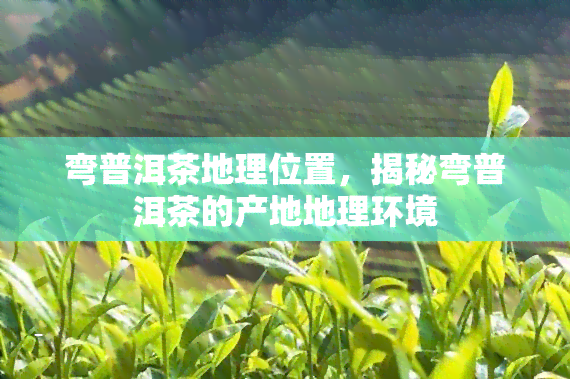 弯普洱茶地理位置，揭秘弯普洱茶的产地地理环境