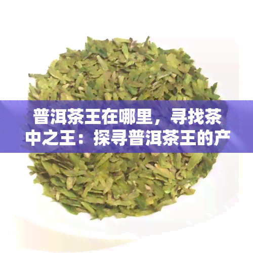 普洱茶王在哪里，寻找茶中之王：探寻普洱茶王的产地