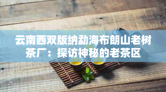 云南西双版纳勐海布朗山老树茶厂：探访神秘的老茶区