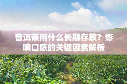 普洱茶用什么长期存放？影响口感的关键因素解析