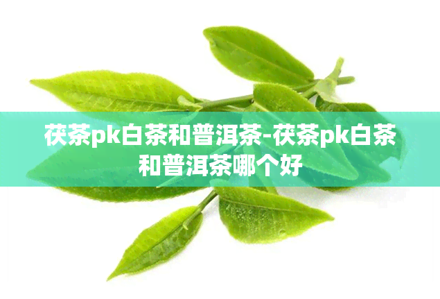 茯茶pk白茶和普洱茶-茯茶pk白茶和普洱茶哪个好