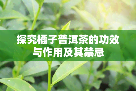 探究橘子普洱茶的功效与作用及其禁忌