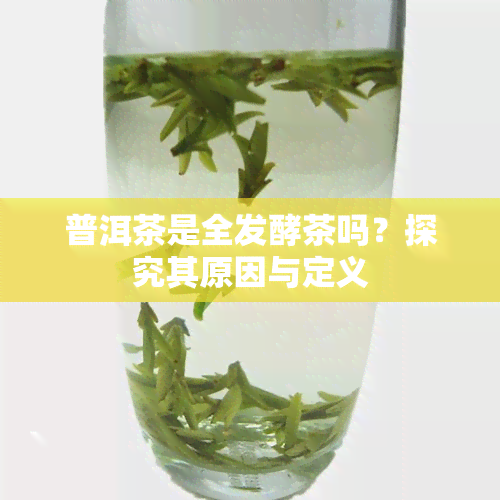 普洱茶是全发酵茶吗？探究其原因与定义