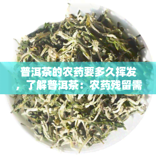 普洱茶的农要多久挥发，了解普洱茶：农残留需要多长时间挥发？