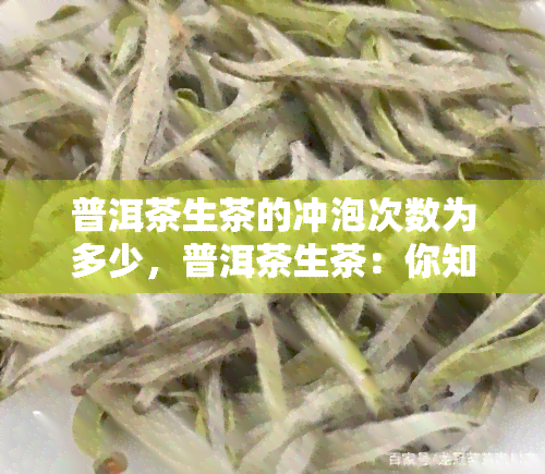 普洱茶生茶的冲泡次数为多少，普洱茶生茶：你知道它能冲泡几次吗？