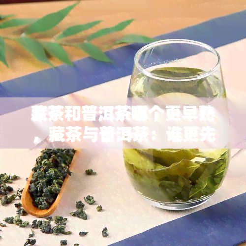 藏茶和普洱茶哪个更早熟，藏茶与普洱茶：谁更先达到成熟的阶？