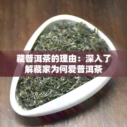 藏普洱茶的理由：深入了解藏家为何爱普洱茶