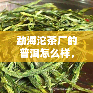 勐海沱茶厂的普洱怎么样，深度解析：勐海沱茶厂的普洱茶叶品质如何？