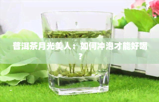 普洱茶月光美人：如何冲泡才能好喝？