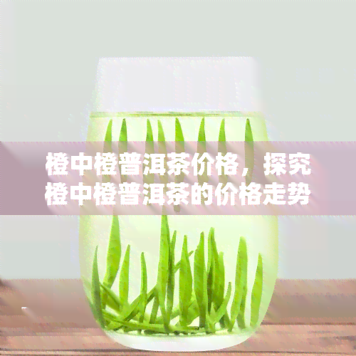 橙中橙普洱茶价格，探究橙中橙普洱茶的价格走势与市场行情