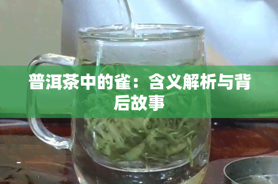 普洱茶中的雀：含义解析与背后故事